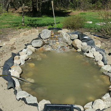 Backyard pond and waterfall