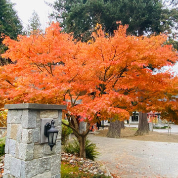 FALL is for COLOR