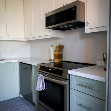 Kitchen Remodel - Project Willard