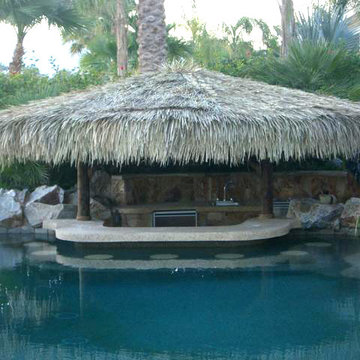 Mexican Palm Thatch