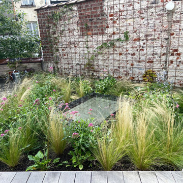 Toiture terrasse de 40m2 à Saint Gilles / Prairie fleurie