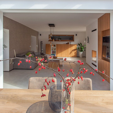 Modern interior with rustic oak veneer