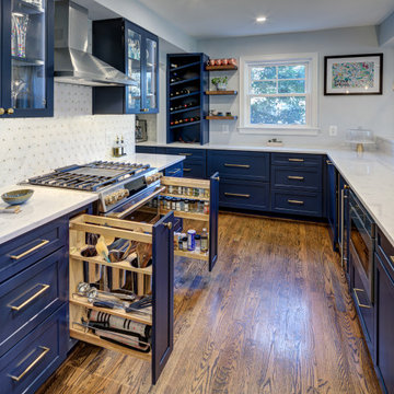 Silver Spring | Crafty Pet Friendly Kitchen and Living Room Remodel