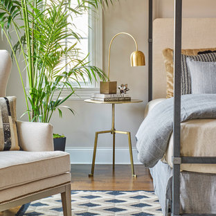 Transitional bedroom photo in Chicago