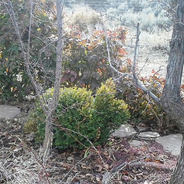 Winter in the High Desert