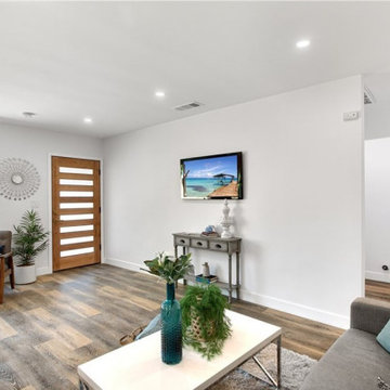 Living Room Remodel