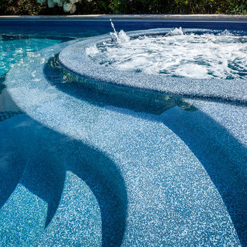 Swimming Pools with Auto Covers