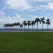 Nancy O'Neill's photo