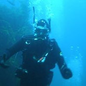 Luke Epsteins foto