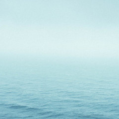Wild Coast Creative