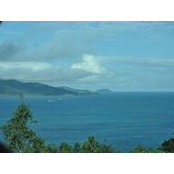 Carmen Munteanu's photo