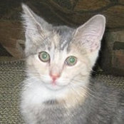 Cheryl Gamroth's photo