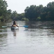 Catherine Erickson's photo