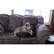 John Hoefen's photo