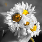 Foto di Flora Guichard