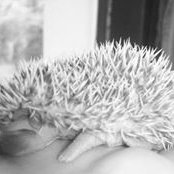 Foto von Candace Dam