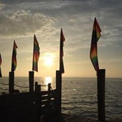 Sandi Dee's photo
