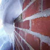 Janice Chu's photo