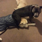 Rita Timber's photo