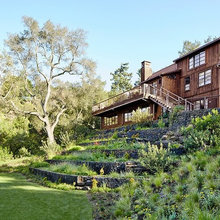 Landscape Design