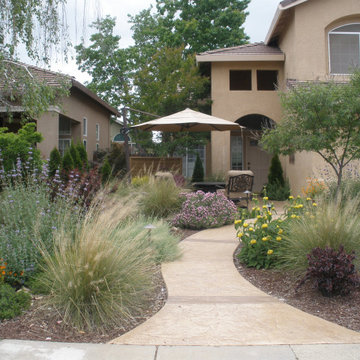 Front Yards and Walkways