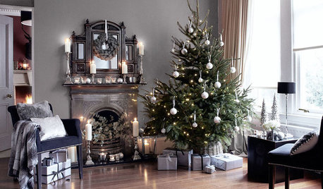 Fråga experten: Vilken gran ska jag välja?