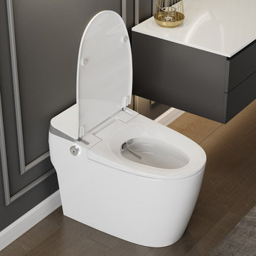Smart Toilet with Bidet Built-in