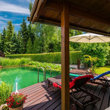 Naturpools Eichler Gartenideen
