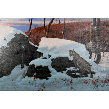 Marcel Bordei, Smell Signal, Bobcat, Oil Painting