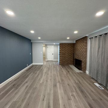Home Remodel/ One Bath/paint/popcorn removal/LED Can lights/baseboards/Flooring