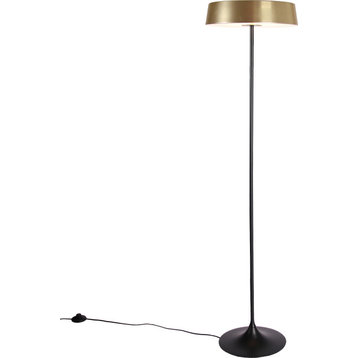 China Led Floor Lamp, Black, Oil Bronze