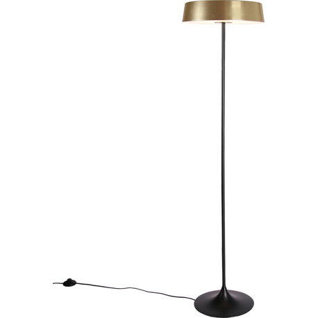 China Led Floor Lamp, Black, Oil Bronze