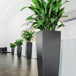 Modern Planter - Home Decor