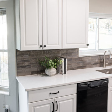 White Out Traditional Kitchen Remodel