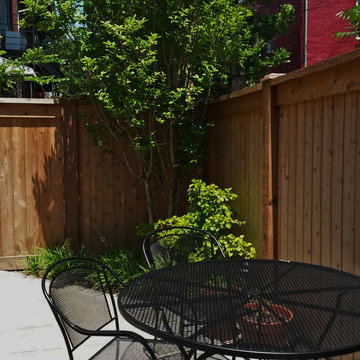 H Street Back Yard