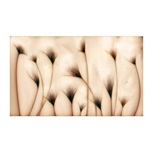 Nude Artwork