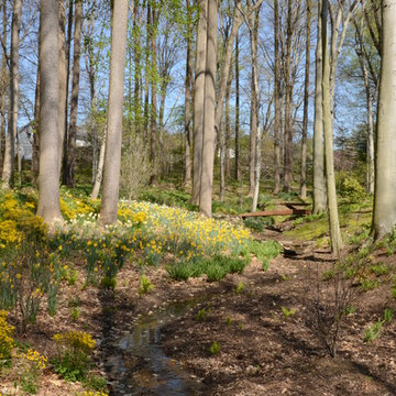 Woodland Garden