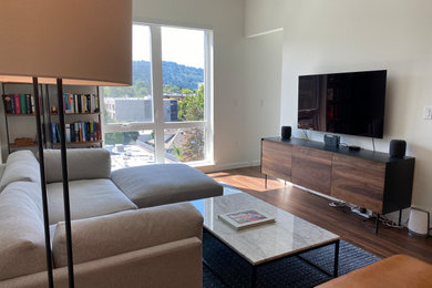 Example of a minimalist living room design in Portland