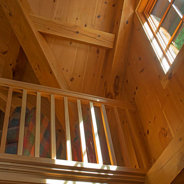 Eastern White Pine