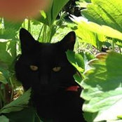 Sonia Therrien's photo