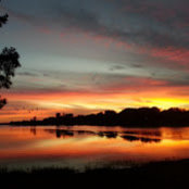 Brent Chitwood's photo