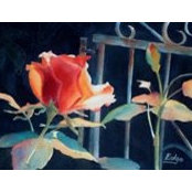 Marney-Rose Edgeさんの写真
