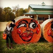 Ashlee Hangartner's photo