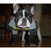Blaine DaRonco's photo