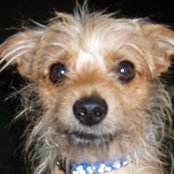 Susan Stagner's photo