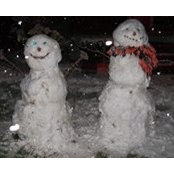 Suzan Bollinger's photo