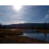 Joni Ehret's photo