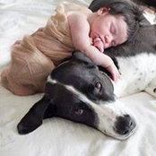 Sawsan Nashashibi's photo