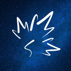 Maple Electric Inc