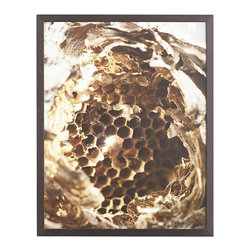 HORNET NEST WALL ART &ndash; COMB - Prints And Posters